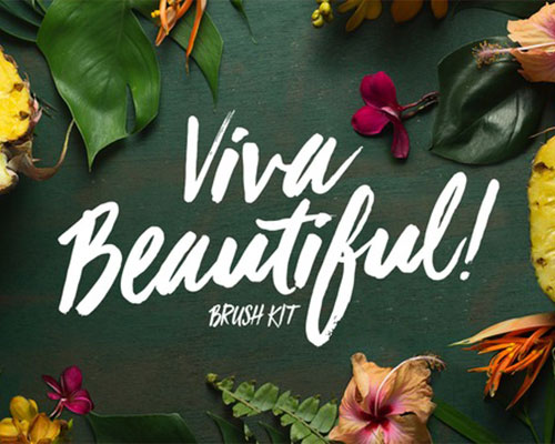 VivaBeautiful英文字体下载