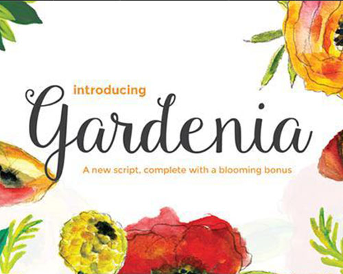 Gardenia Blooms英文字体下载