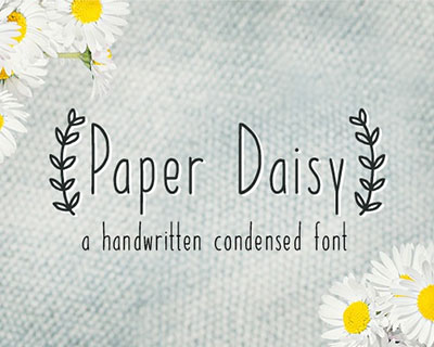 paperdaisy英文字体下载