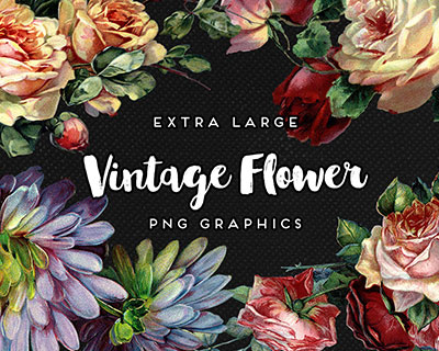 高清复古花卉PNG素材图