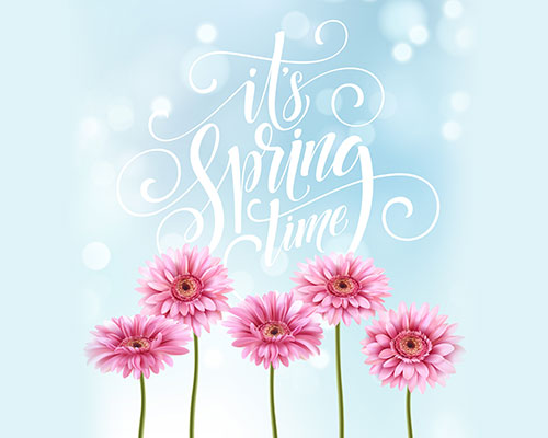 春季花卉郁金香菊花展板海报设计元素矢量素材下载