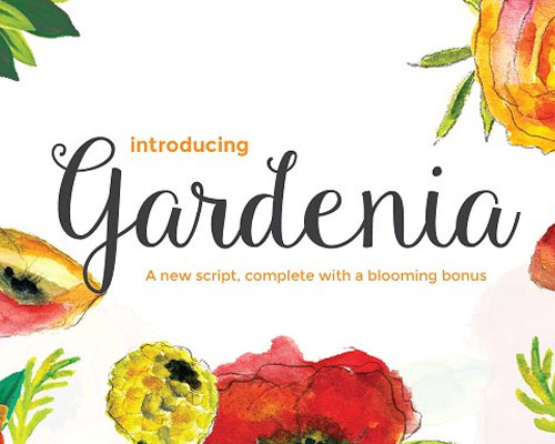 Gardenia 花草花型唯美字体安装素材下载