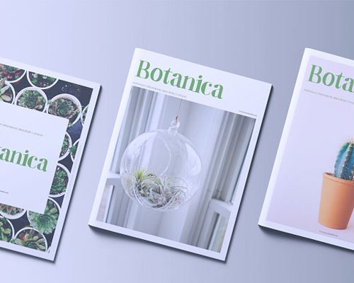 简约创意绿色植物画册设计模板下载