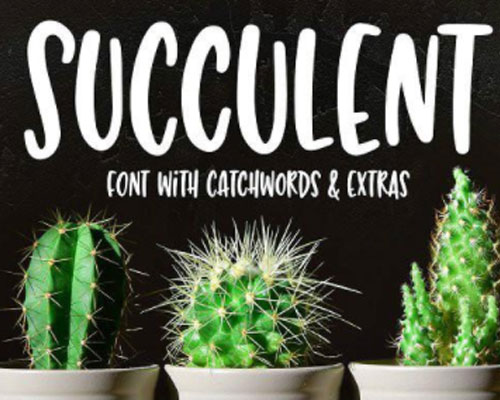 Succulent唯美英文字体下