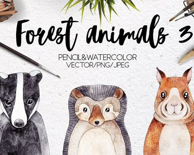 水彩森林动物插图装饰