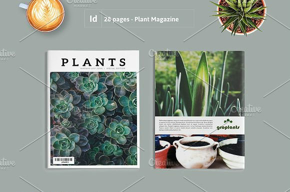 时尚杂志风植物摄影画册设计素材1