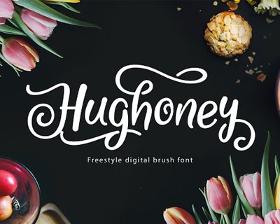 Hughoney时尚花式英文字体素材