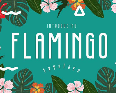 Flamingo时尚优雅海报英文字体素材