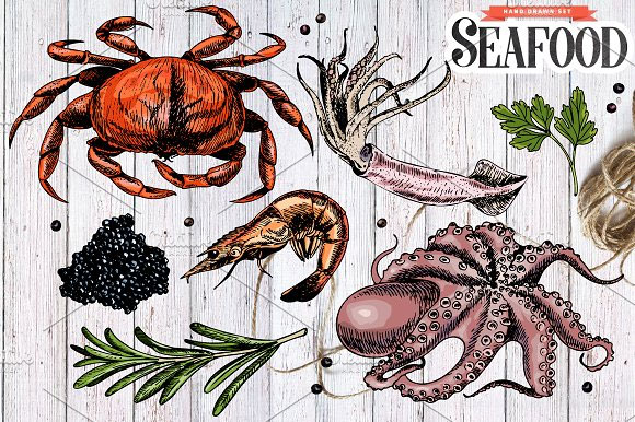 复古手绘彩色海鲜鱼类食物菜单插画素材3