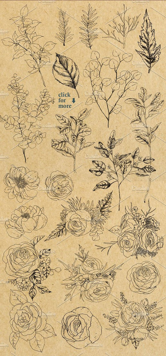 手绘花卉植物轮廓插画水彩笔触图案素材4