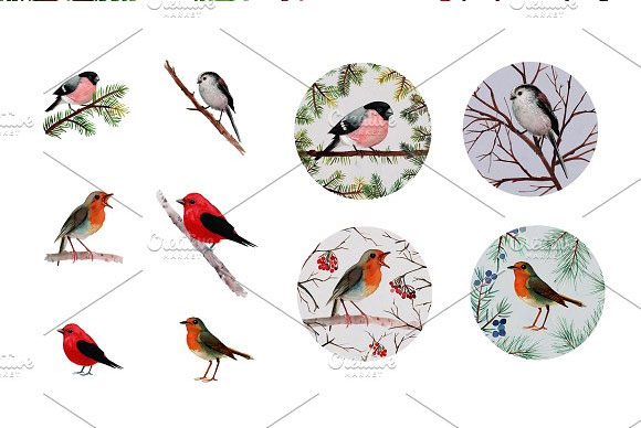 手绘水彩鸟和树枝装饰素材2