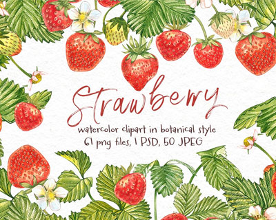水彩手绘新鲜水果植物草莓插画素材