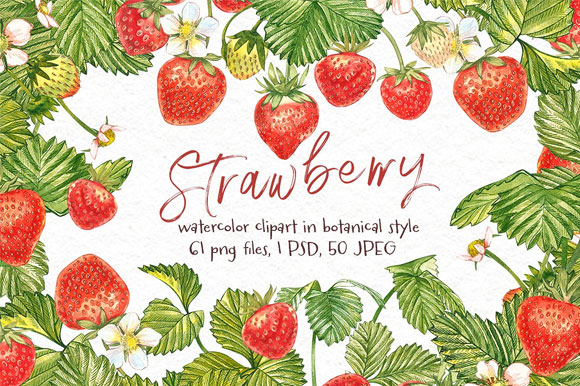 水彩手绘新鲜水果植物草莓插画素材水彩手绘新鲜水果植物草莓插画素材1