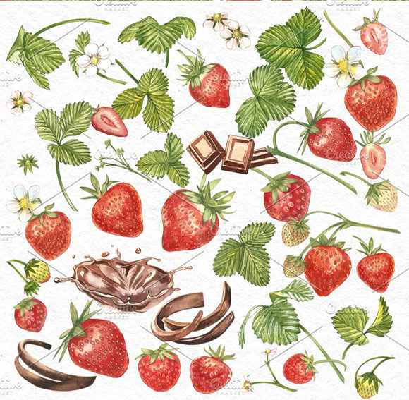 水彩手绘新鲜水果植物草莓插画素材水彩手绘新鲜水果植物草莓插画素材2