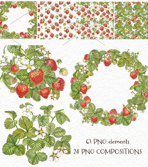 水彩手绘新鲜水果植物草莓插画素材4