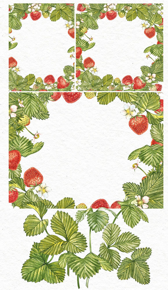 水彩手绘新鲜水果植物草莓插画素材5