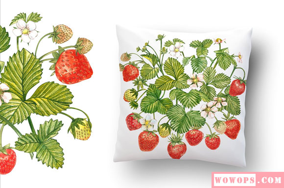 水彩手绘新鲜水果植物草莓插画素材7