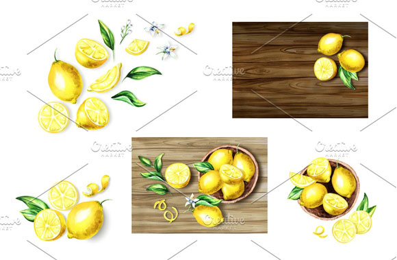 自然清爽柠檬柑橘果实植物插画素材7
