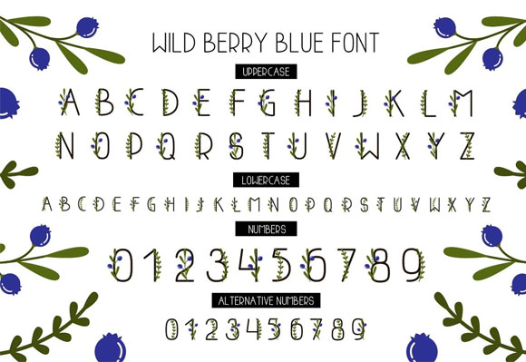 WildBerryBlue小清新英文字体装饰花环背景素材4