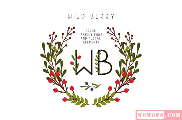 WildBerryBlue小清新英文字体装饰花环背景素材8