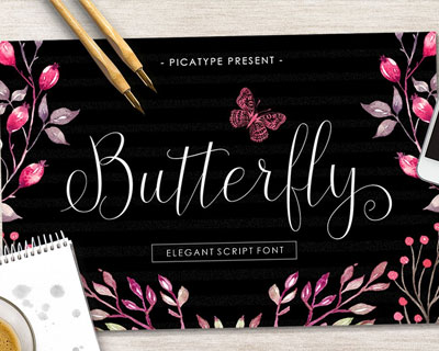 手写Butterfly Bold花式英文字体下载