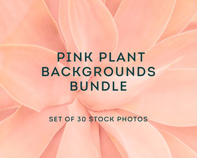 唯美粉红色花卉植物背景图案素材下载