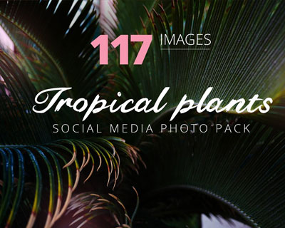 热带异国植物旅行夏季照片素材下载