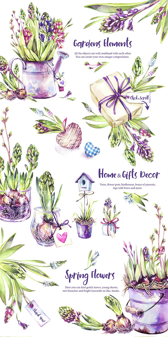 水彩手绘水仙植物花框礼物卡片装饰素材2
