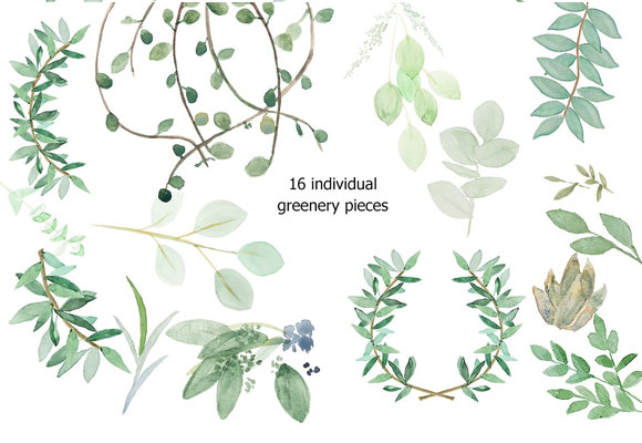 手绘水彩绿色植物叶子装饰插画素材2