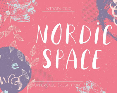 Nordic Space手写英文字体下载