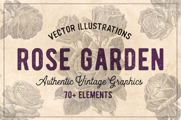 复古老式玫瑰花卉图案插画素材下载1