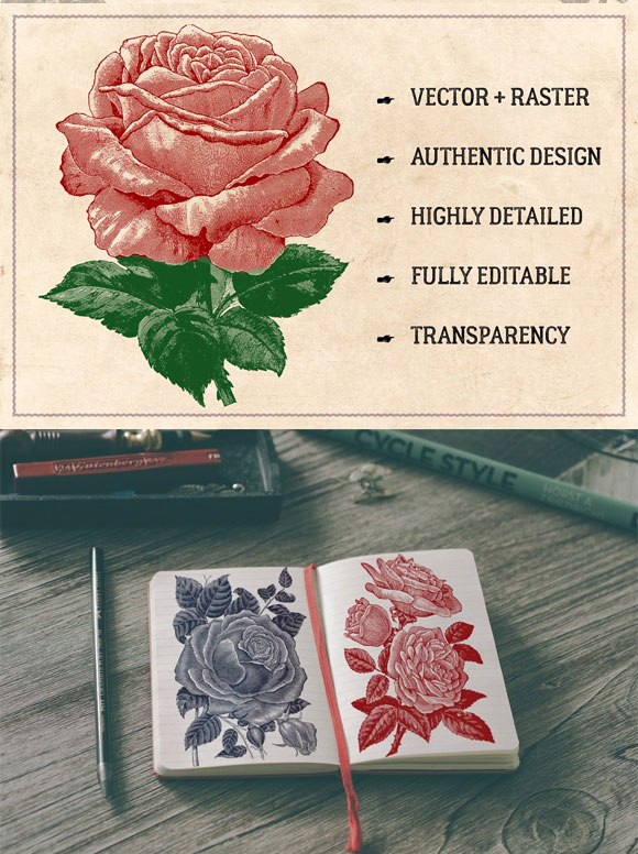 复古老式玫瑰花卉图案插画素材下载2
