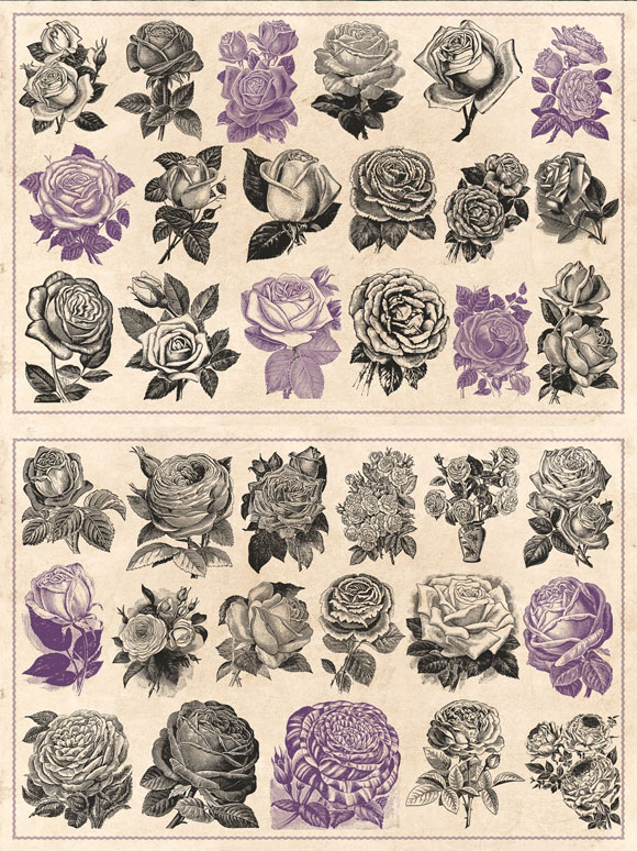 复古老式玫瑰花卉图案插画素材下载3