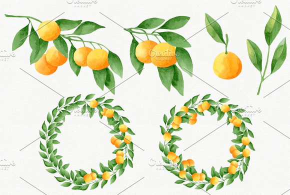 水彩橙柑桔艺术插画包装背景设计2