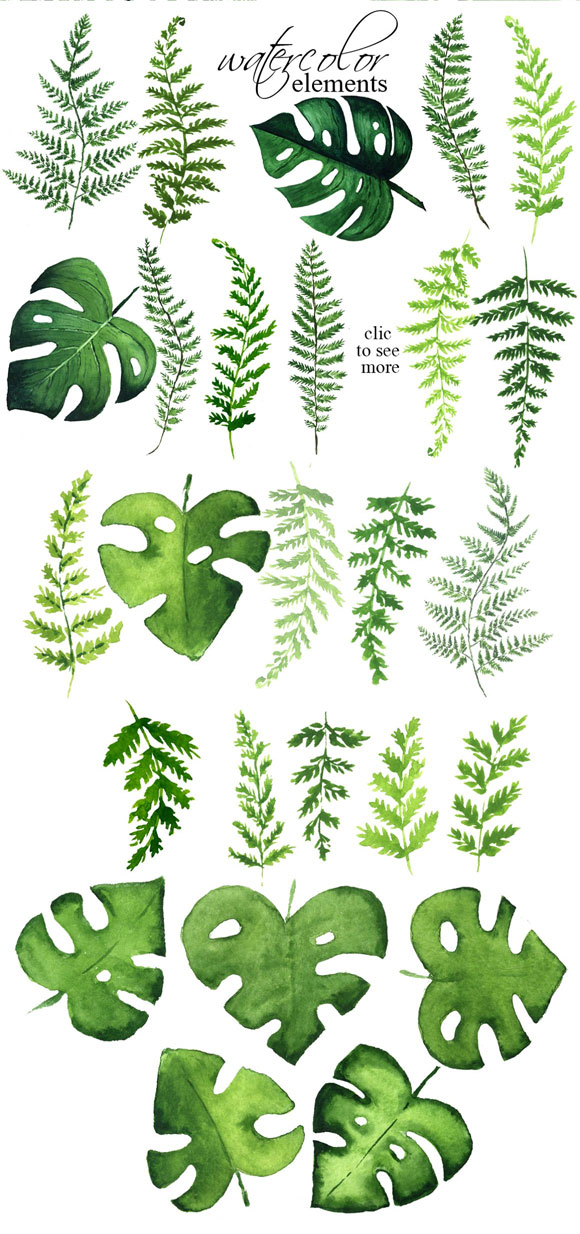 水彩蕨类植物框架背景图案素材下载2