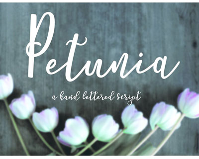 Petunia英文字体下载