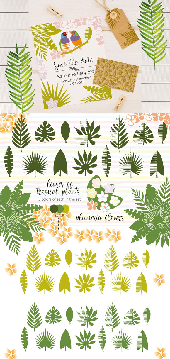 热带植物叶子花卉图案装饰元素背景素材下载3