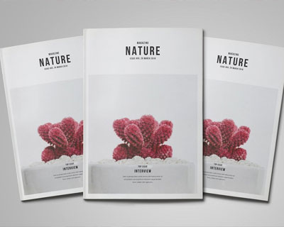 时尚室内自然植物摄影杂志目录画册模板