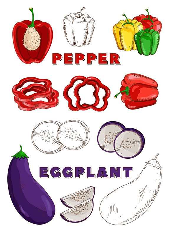 复古素描彩色蔬菜素材下载5