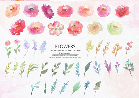 水彩花卉鲜花植物卡片海报装饰元素下载