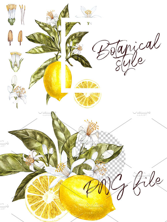 水彩手绘柠檬图案背景素材下载2