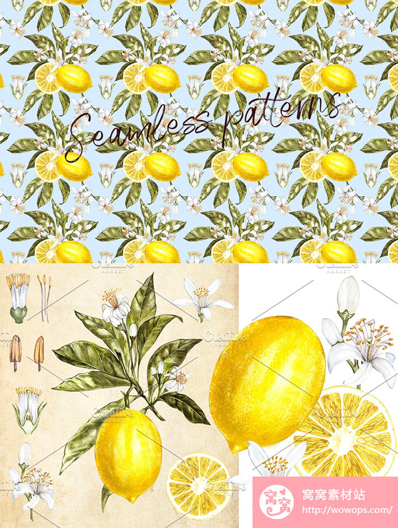 水彩手绘柠檬图案背景素材下载5