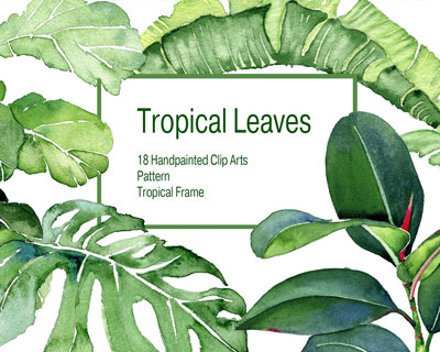 水彩热带树叶植物图案素材下载
