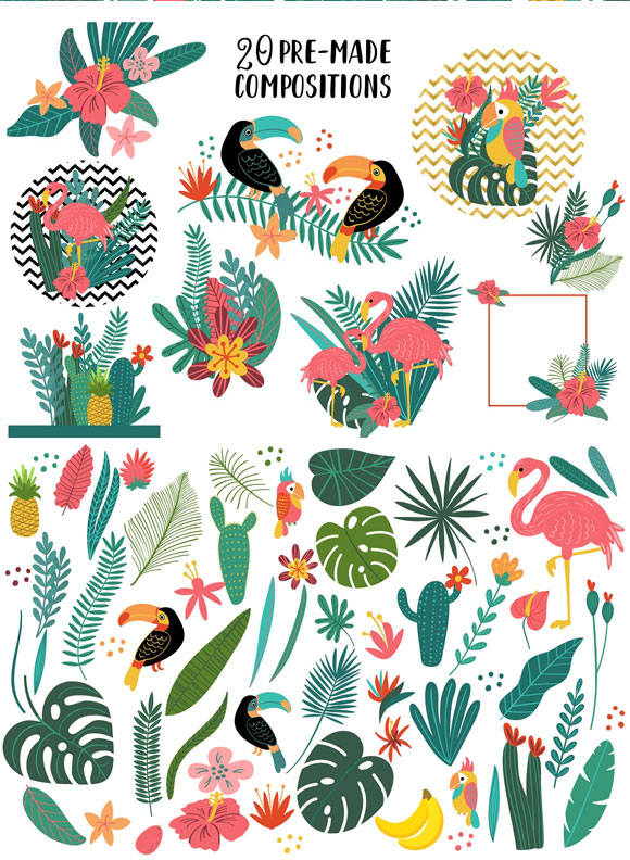 卡通热带植物鸟英文字母背景图案下载