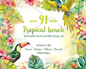 热带植物海滩海报边框PNG水彩套装