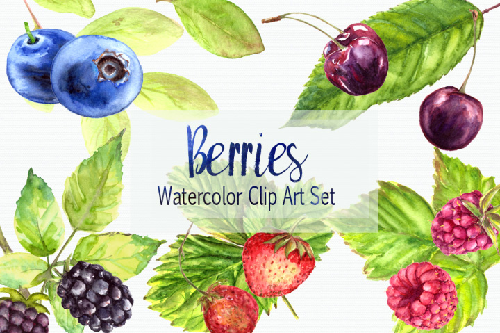 手绘水彩蓝莓浆果PNG素材图片1