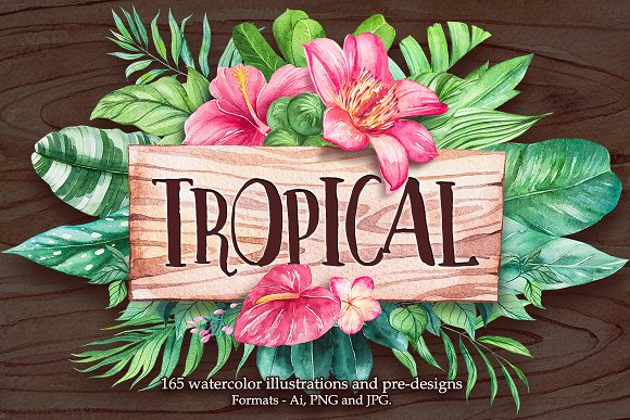 手绘水彩夏日热带植物龟背竹PNG免扣素材图片1