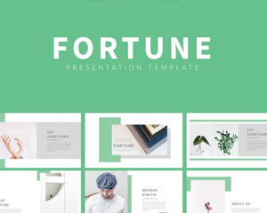 Fortune - Powerpoint 3486369