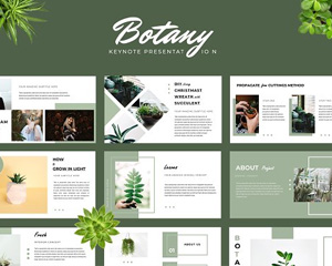 绿色KYNOTE模板Botany Keynote Presentation 2660031