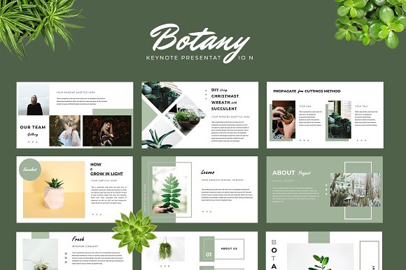 绿色KYNOTE模板Botany Keynote Presentation 26600311